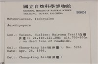 登錄號:B00008054藏品圖，第2張