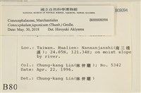 日本蛇苔藏品圖，第2張