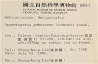 毛擬叉苔藏品圖，第2張