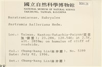 登錄號:B00008128藏品圖，第2張