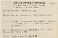 毛擬叉苔藏品圖，第2張