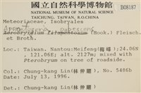 毛擬叉苔藏品圖，第2張