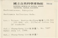 登錄號:B00008188藏品圖，第2張