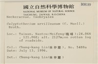 登錄號:B00008189藏品圖，第2張