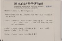 毛扭蘚藏品圖，第2張