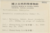 大熱澤蘚藏品圖，第2張