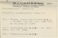 大熱澤蘚藏品圖，第2張