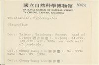 登錄號:B00008252藏品圖，第2張