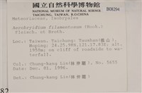 毛扭蘚藏品圖，第2張