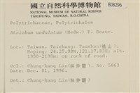 仙鶴蘚藏品圖，第2張