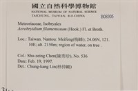 毛扭蘚藏品圖，第2張