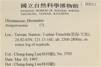 登錄號:B00008311藏品圖，第2張