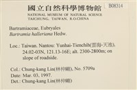 登錄號:B00008314藏品圖，第2張