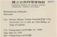 登錄號:B00008315藏品圖，第2張