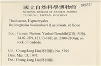 毛羽蘚藏品圖，第2張