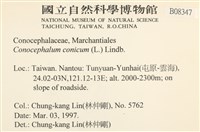 蛇苔藏品圖，第2張