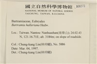 登錄號:B00008372藏品圖，第2張