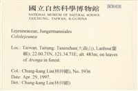 登錄號:B00008408藏品圖，第2張