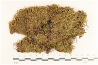 登錄號:B00008412藏品圖，第1張