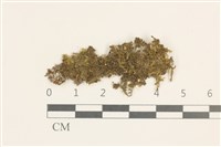 登錄號:B00008422藏品圖，第1張