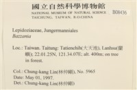 登錄號:B00008436藏品圖，第2張