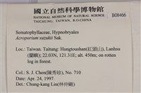 登錄號:B00008466藏品圖，第2張