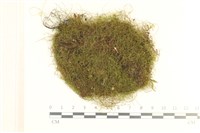 登錄號:B00008473藏品圖，第1張