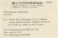 登錄號:B00008489藏品圖，第2張