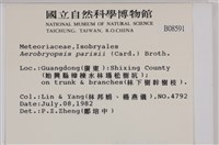 登錄號:B00008591藏品圖，第2張