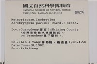 登錄號:B00008592藏品圖，第2張