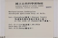 登錄號:B00008593藏品圖，第2張