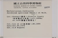 登錄號:B00008594藏品圖，第2張