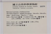 登錄號:B00008596藏品圖，第2張