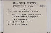 登錄號:B00008599藏品圖，第2張