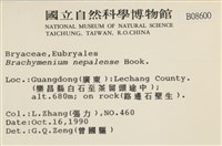 那霸短月蘚藏品圖，第2張