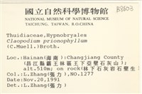 登錄號:B00008603藏品圖，第2張