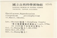 登錄號:B00008606藏品圖，第2張