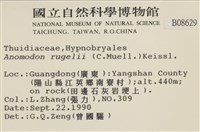 皺葉牛舌蘚藏品圖，第2張