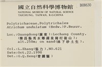 仙鶴蘚藏品圖，第2張
