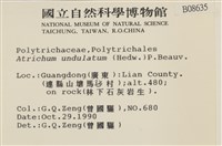 仙鶴蘚藏品圖，第2張