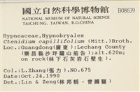 細葉櫛葉蘚, 毛葉梳蘚藏品圖，第2張