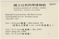 登錄號:B00008644藏品圖，第2張