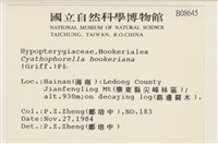 登錄號:B00008645藏品圖，第2張