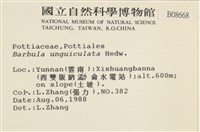 扭口蘚藏品圖，第2張