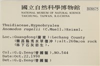 皺葉牛舌蘚藏品圖，第2張