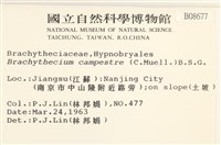 登錄號:B00008677藏品圖，第2張