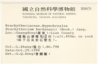 細枝青蘚藏品圖，第2張