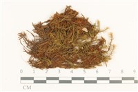 登錄號:B00008680藏品圖，第1張