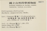 扭口蘚藏品圖，第2張