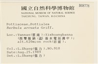 登錄號:B00008778藏品圖，第2張